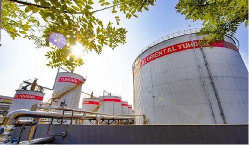 東方雨虹,系統產品,服務工業(yè)綠色低碳發(fā)展